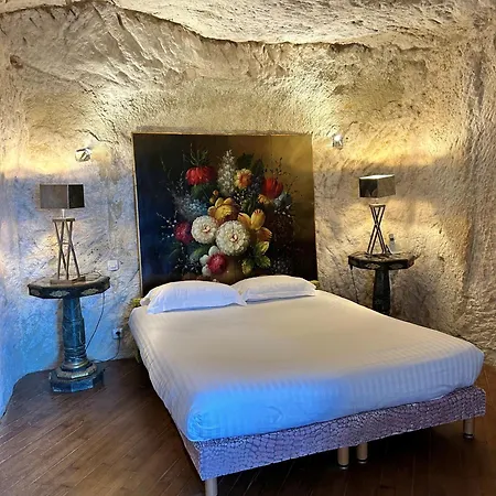 Logis Demeure De La Vignole 3* Turquant