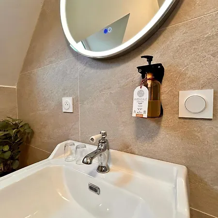 Logis Demeure De La Vignole 3* Turquant