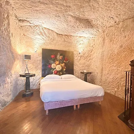 Logis Demeure De La Vignole 3* Turquant