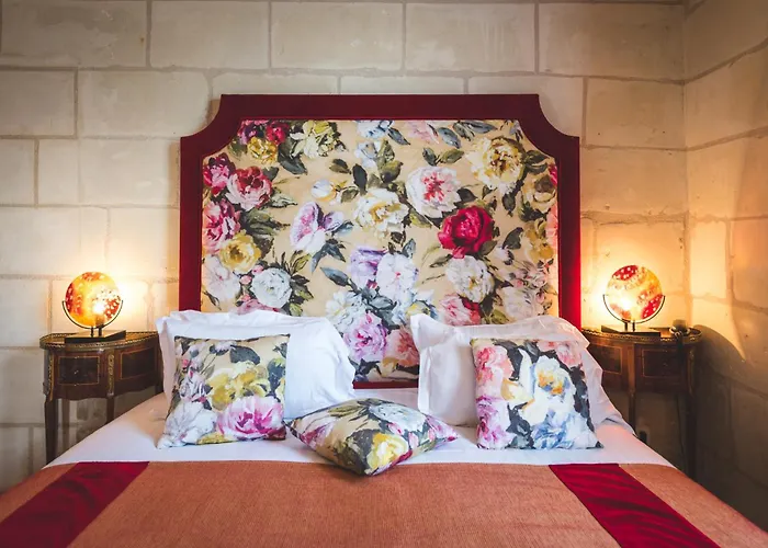 Logis Demeure De La Vignole