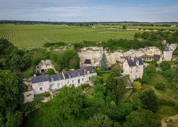 Hotel Logis Demeure De La Vignole Turquant