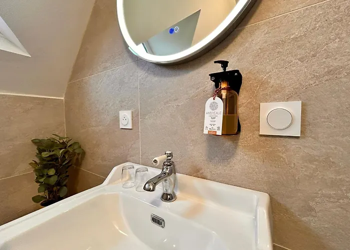 Logis Demeure De La Vignole 3* Turquant