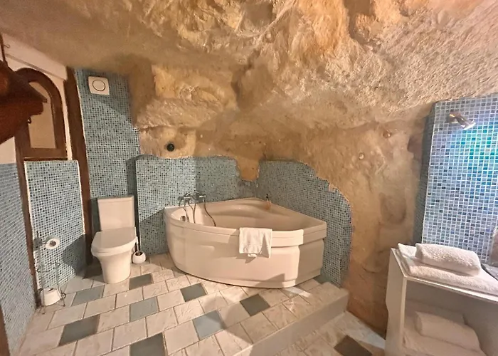 Logis Demeure De La Vignole